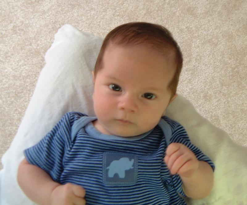 2001/06(June)/4(Dax_8-weeks)/800x600_2001-06-30-1-Dax-8-weeks.JPG