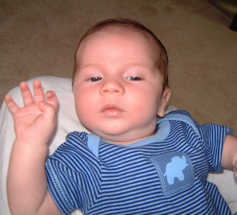 2001/06(June)/4(Dax_8-weeks)/800x600_2001-06-30-2-Dax-8-weeks.JPG