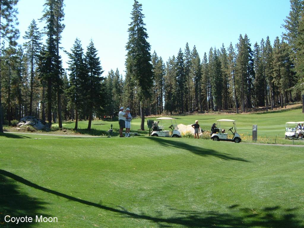 2001/08(August)/04(Tahoe-Golf)/1024x768_2001-08-31-4-Coyote-Moon.JPG