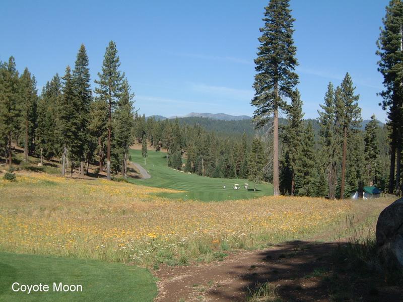 2001-08-31-3-Coyote-Moon.JPG