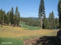 2001-08-31-3-Coyote-Moon.JPG