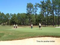 2001-09-07-23-Pinehurst-2.JPG