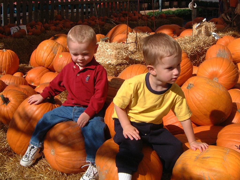 2001/10(October)/02(Pumpkin-Patch-Visit)/1024x768_2001-10-17-02-Pumpkin-Patch.JPG