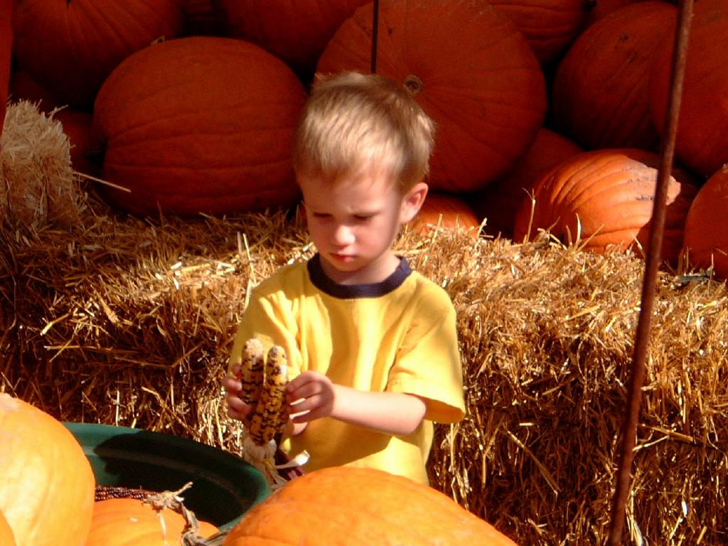 2001/10(October)/02(Pumpkin-Patch-Visit)/1024x768_2001-10-17-04-Pumpkin-Patch.jpg