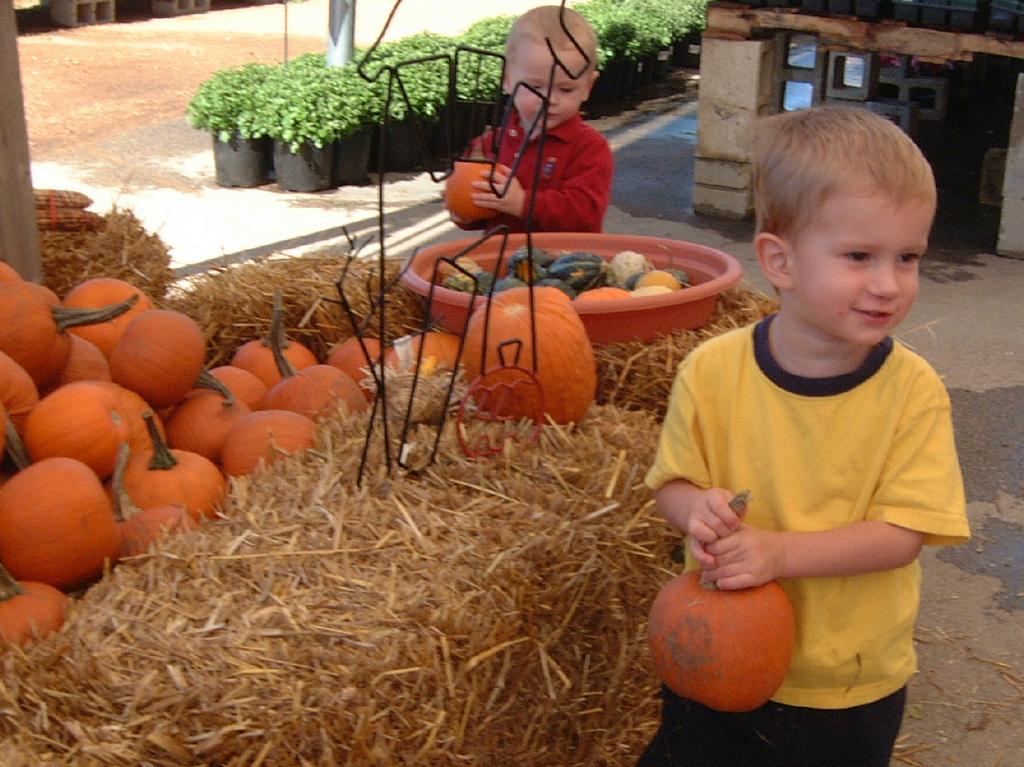 2001/10(October)/02(Pumpkin-Patch-Visit)/1024x768_2001-10-17-10-Pumpkin-Patch.JPG