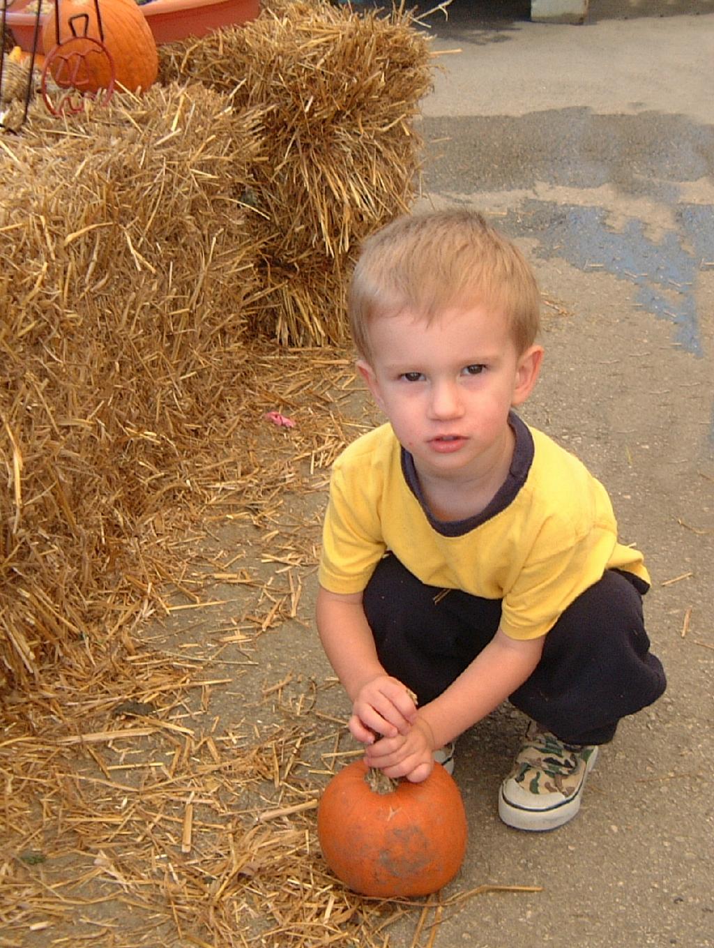 2001/10(October)/02(Pumpkin-Patch-Visit)/1024x768_2001-10-17-11-Pumpkin-Patch.JPG