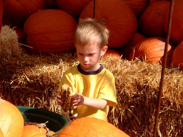 2001-10-17-04-Pumpkin-Patch.jpg