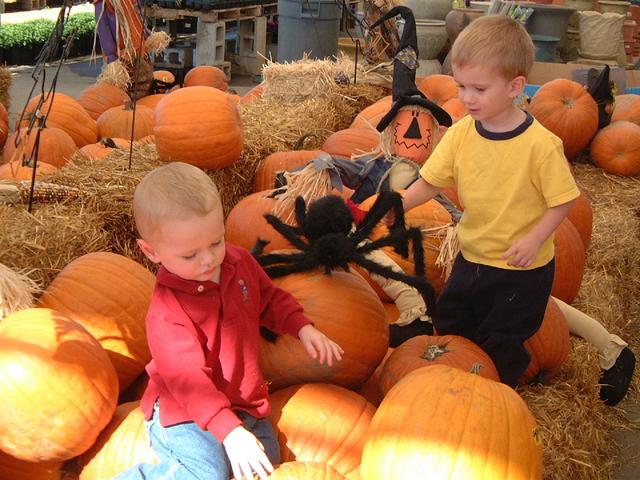 2001-10-17-06-Pumpkin-Patch.JPG