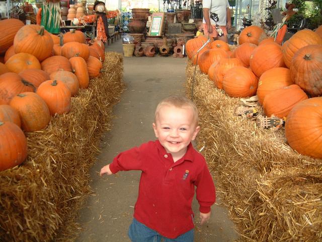 2001-10-17-13-Pumpkin-Patch.JPG