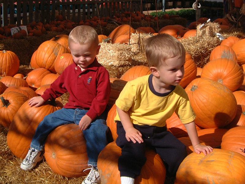 2001-10-17-02-Pumpkin-Patch.JPG