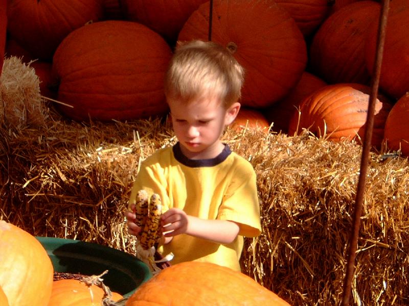 2001-10-17-04-Pumpkin-Patch.jpg
