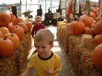 2001-10-17-07-Pumpkin-Patch.JPG