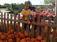 2001-10-17-09-Pumpkin-Patch.JPG