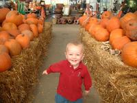 2001-10-17-13-Pumpkin-Patch.JPG