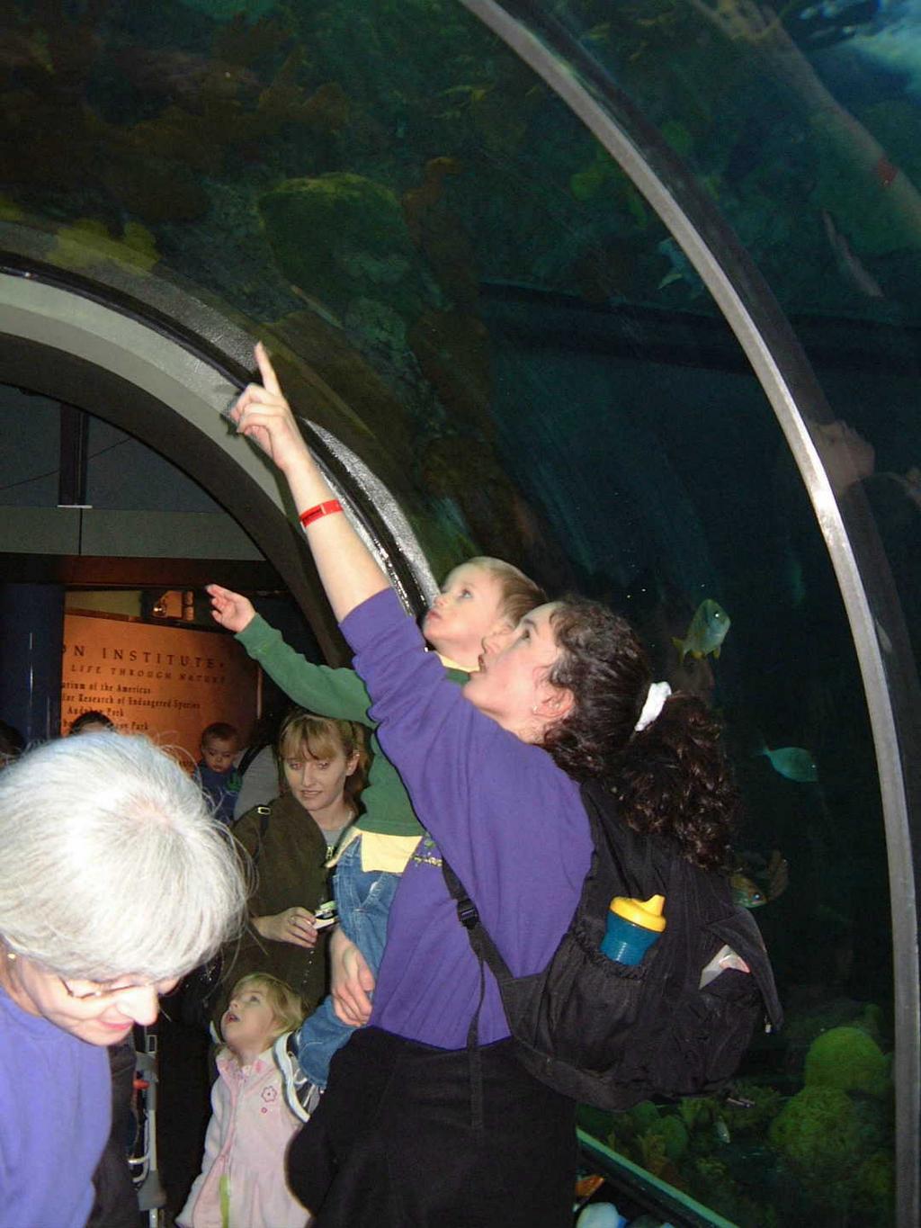 2002/02(Feb)/02(Aquarium)/1024x768_2002-02-08-003-Aquarium.JPG