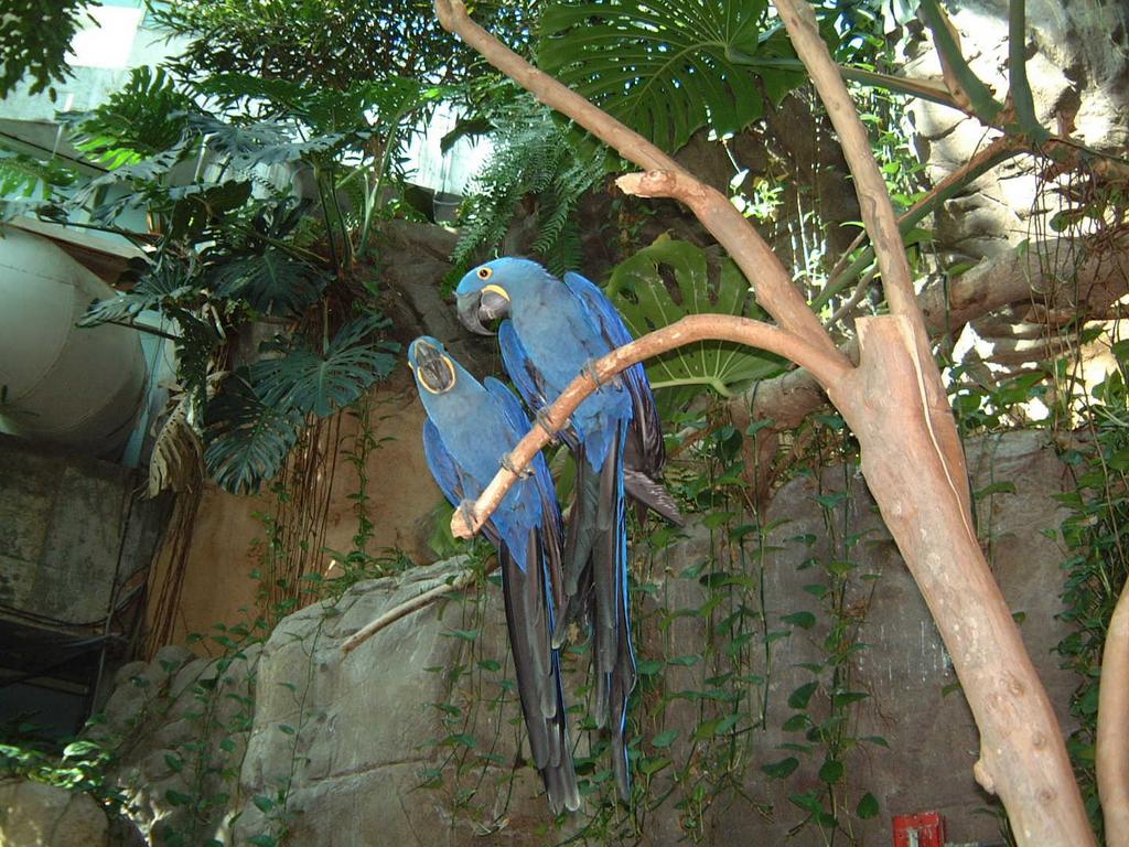 2002/02(Feb)/02(Aquarium)/1024x768_2002-02-08-009-Aquarium.JPG