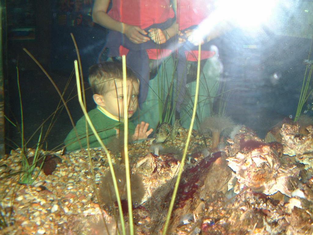 2002/02(Feb)/02(Aquarium)/1024x768_2002-02-08-019-Aquarium.JPG