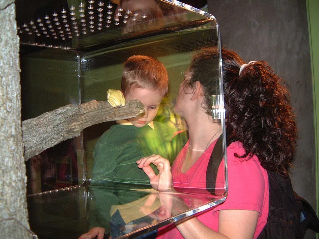 2002/02(Feb)/02(Aquarium)/1024x768_2002-02-08-023-Aquarium.JPG