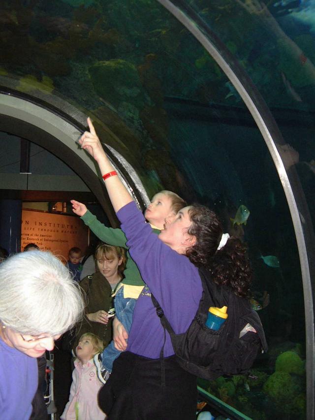 2002-02-08-003-Aquarium.JPG