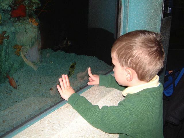 2002-02-08-007-Aquarium.JPG