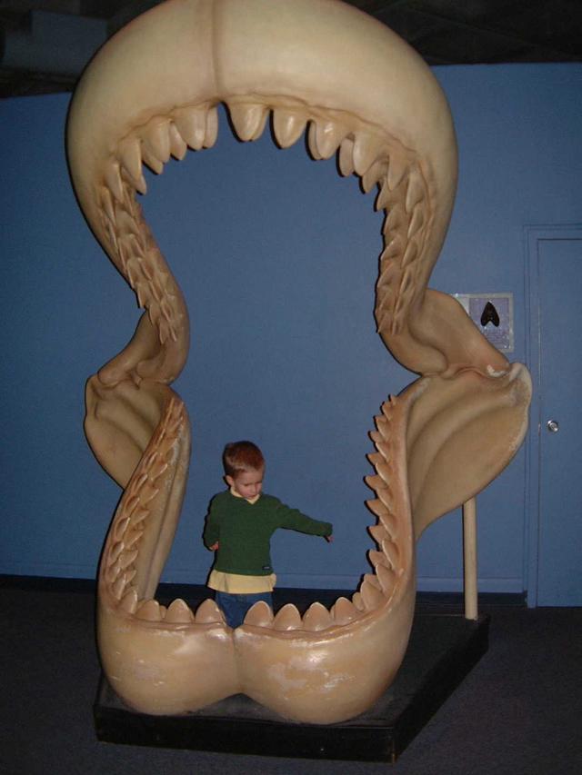 2002-02-08-017-Aquarium.JPG