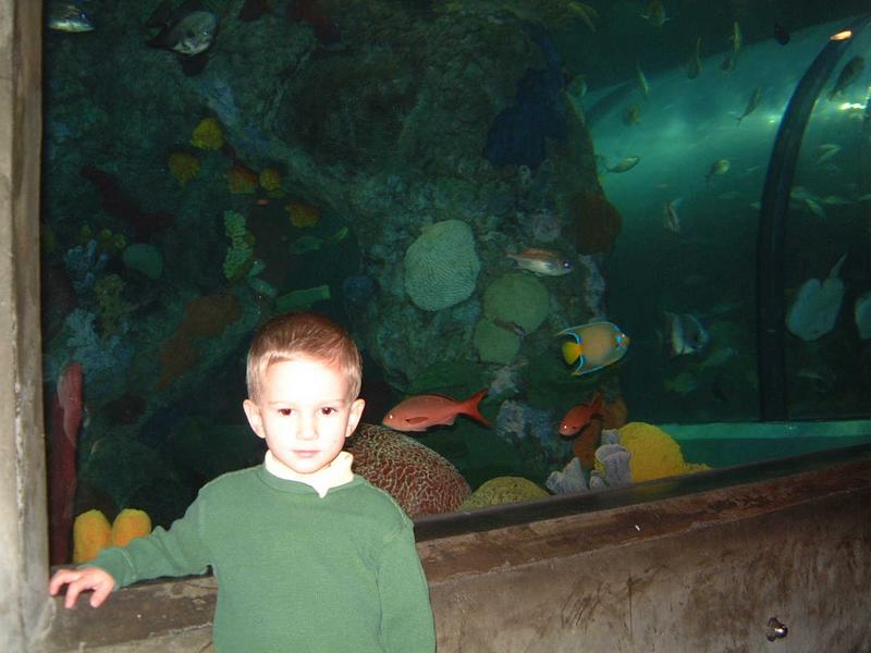 2002/02(Feb)/02(Aquarium)/800x600_2002-02-08-001-Aquarium.JPG