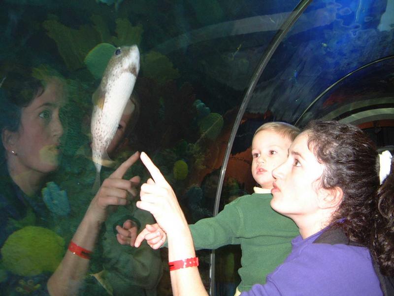 2002/02(Feb)/02(Aquarium)/800x600_2002-02-08-004-Aquarium.JPG