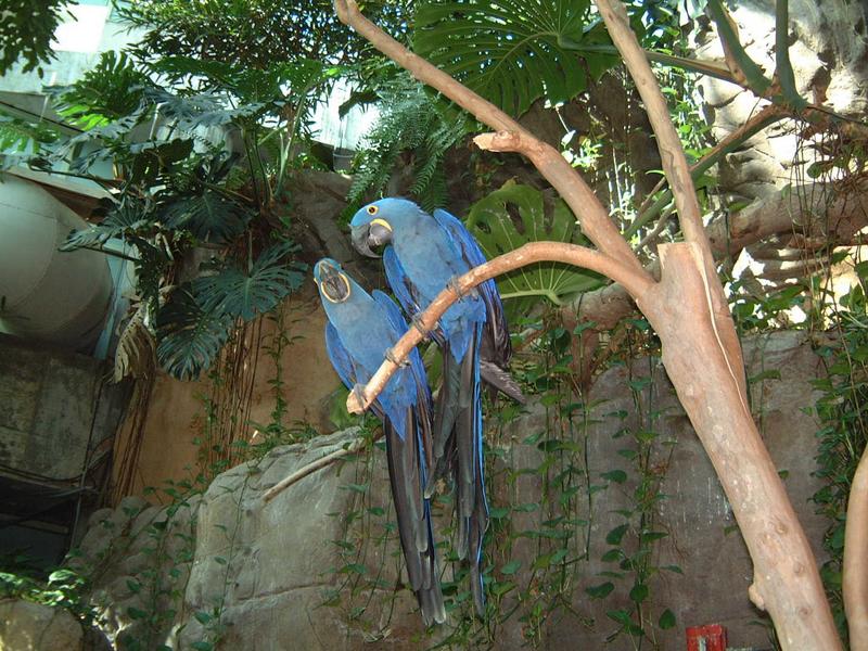 2002/02(Feb)/02(Aquarium)/800x600_2002-02-08-009-Aquarium.JPG
