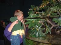 2002-02-08-005-Aquarium.JPG