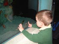 2002-02-08-007-Aquarium.JPG