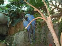 2002-02-08-009-Aquarium.JPG