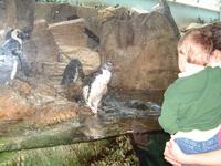 2002-02-08-016-Aquarium.JPG
