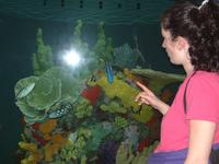 2002-02-08-018-Aquarium.JPG