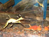 2002-02-08-022-Aquarium.JPG