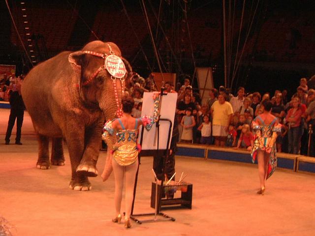 2002-06-28-2-Circus.JPG
