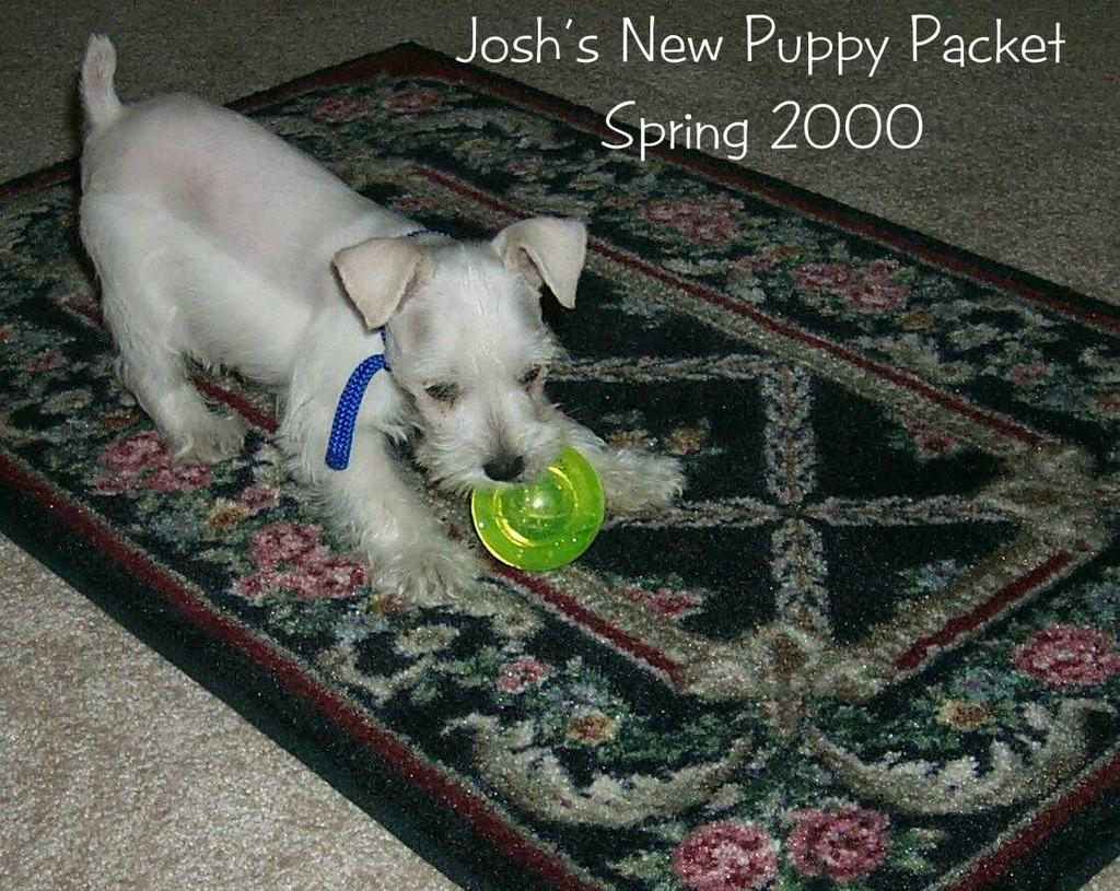 2002/10(Oct)/02(Josh-Child)/1024x768_2000-02-26-1034-Packett.JPG