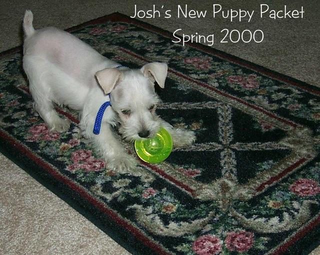 2002/10(Oct)/02(Josh-Child)/640x480_2000-02-26-1034-Packett.JPG