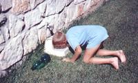 1987-03-Josh-Dog-dish.jpg
