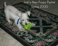 2000-02-26-1034-Packett.JPG
