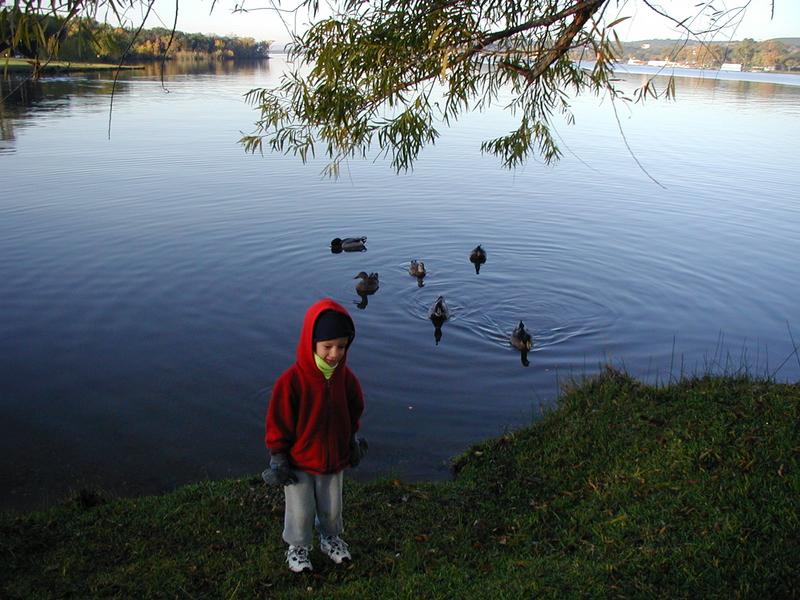2002/11(Nov)/02(Grandkids)/800x600_2002-11-10-Ink-Lake-Camping-09-ducks-Chance.jpg