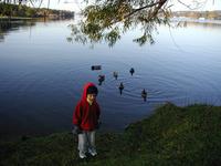 2002-11-10-Ink-Lake-Camping-09-ducks-Chance.jpg