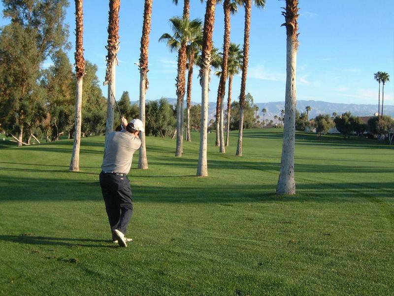 2002/12(Dec)/01(Palm-Springs)/800x600_2002-12-01-07-Palm-Springs-Trolls.JPG