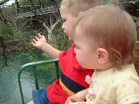 2003-03-15-Zliker-Park-02.JPG