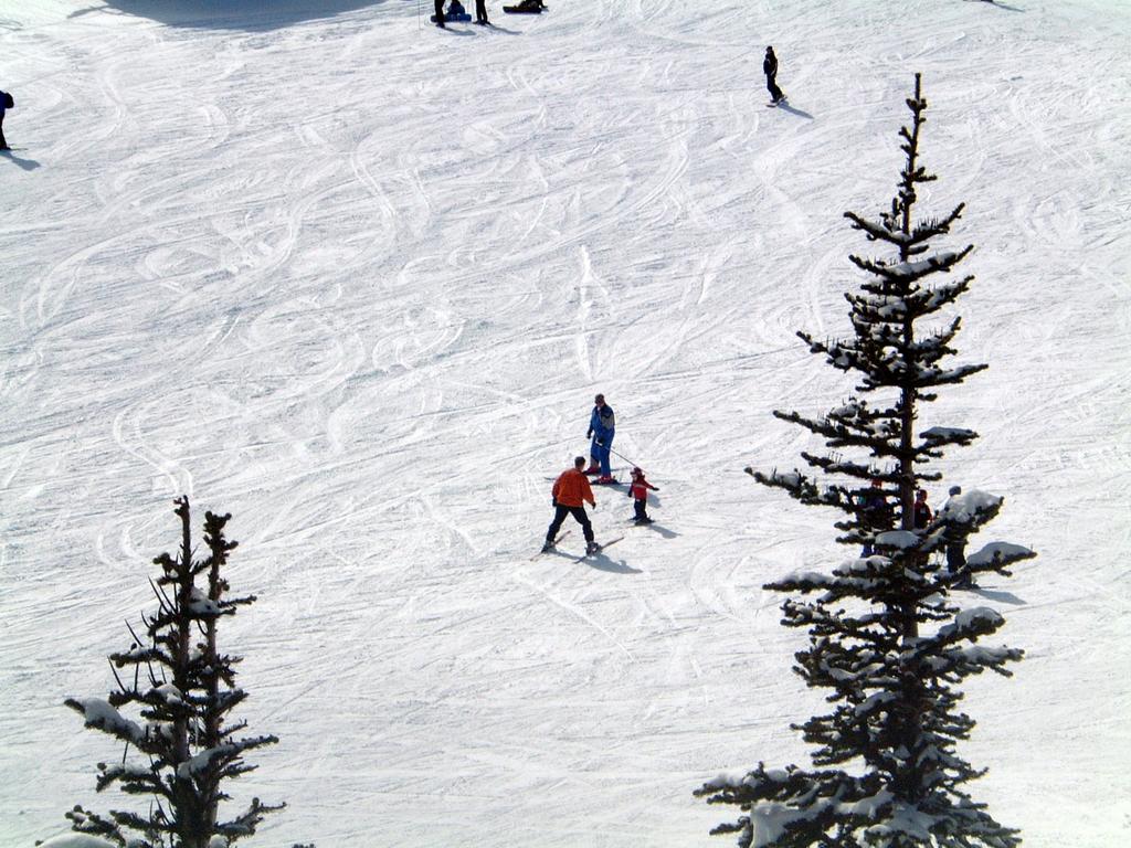 2003-04-25-03-Vale-Top-of-Whistler.JPG