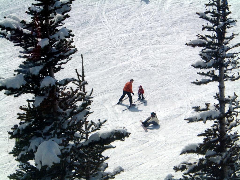 2003-04-25-05-Vale-Top-of-Whistler.JPG
