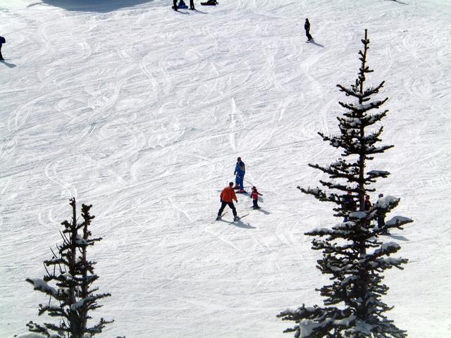2003-04-25-03-Vale-Top-of-Whistler.JPG
