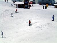 2003-04-25-02-Vale-Top-of-Whistler.JPG