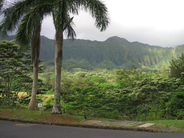 2003/05(May)/03(Hawaii)/Honolulu/640x480_2003-05-16-02-Luana-Hills.JPG