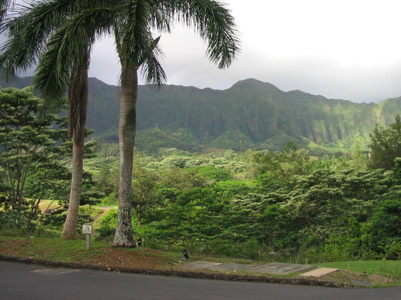 2003/05(May)/03(Hawaii)/Honolulu/800x600_2003-05-16-02-Luana-Hills.JPG