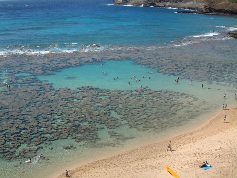 2003/05(May)/03(Hawaii)/Honolulu/800x600_2003-05-17-12-Hanauma-Bay.JPG